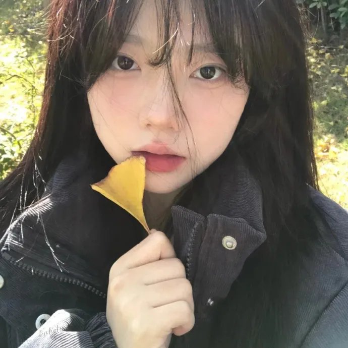 你好生活第四季